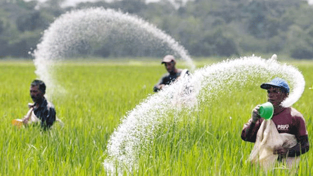 ৩০ হাজার টন সার কিনবে সরকার