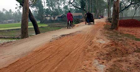 নাগেশ্বরীতে গ্রামীণ পাকা সড়কগুলোর