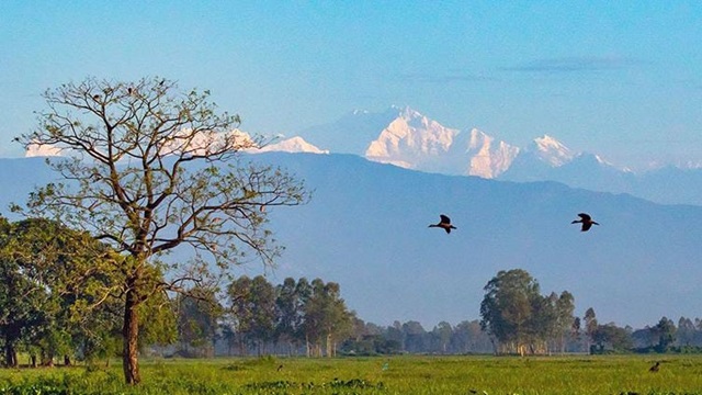 সংগ্রহীত