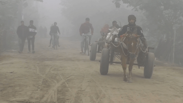 ১৩ জেলায় শৈত্যপ্রবাহ