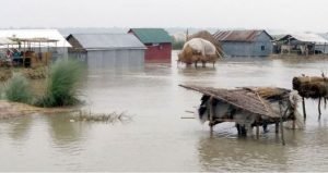 উত্তরাঞ্চালে বন্যা পরিস্থিতির অবনতি