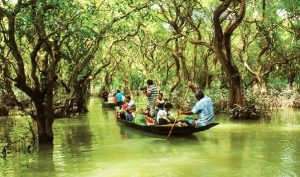 রাতারগুল ভ্রমণে ফি দিতে হবে সরকারকে