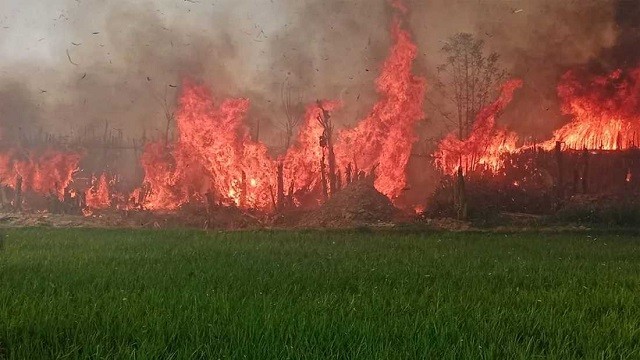 কুষ্টিয়ায় ৮ কিলোমিটার এলাকাজুড়ে জ্বলছে আগুন