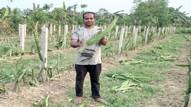 ছবি: সংগৃহীত