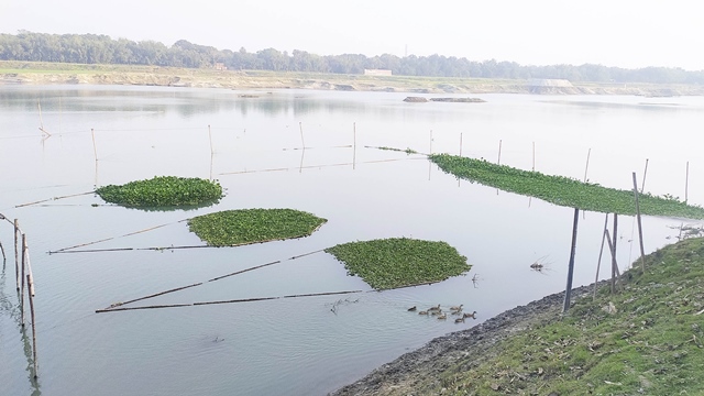 ছবি: নিউজফ্ল্যাশ৭১