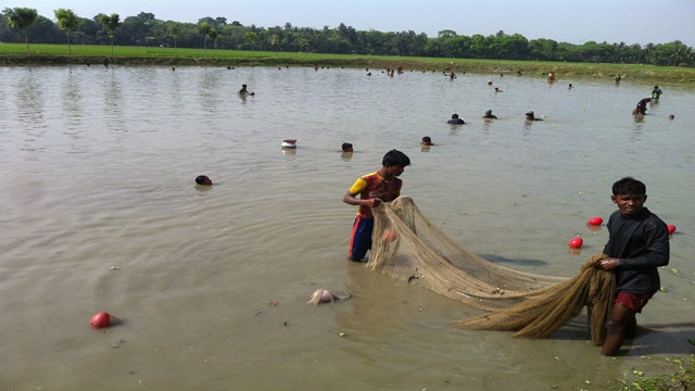 ছবি: নিউজফ্ল্যাশ৭১