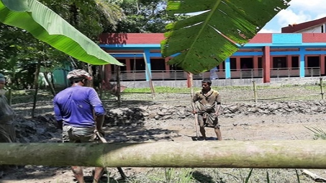 মাদারীপুরের কালকিনিতে স্কুলের জমি দখলের অভিযোগ, মাঠে রোপন করা হচ্ছে কলা ও ধানের চারা