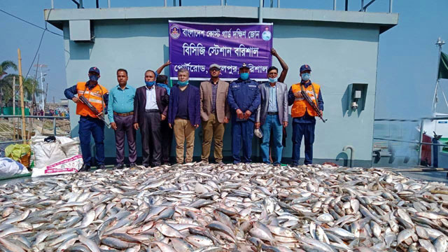 বাংলাদেশ কোস্ট গার্ডের অভিযানে জাটকাসহ স্টিল বডি জব্দ