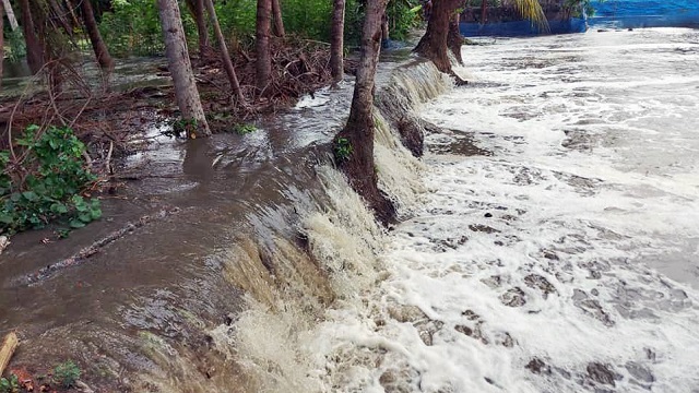 বাগেরহাটের ফকিরহাটে অতি জোয়ারের জলে ডুবে গেছে কৃষকের স্বপ্ন !