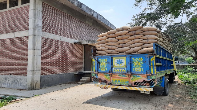 ঘোড়াঘাটে রানীগঞ্জ খাদ্য গুদাম কর্মকর্তা এভাবেই ট্রাক ভর্তি করে বাহির থেকে ধান ক্রয় করে গুদামে দিচ্ছেন