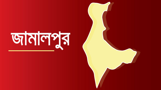 ফাইল ছবি