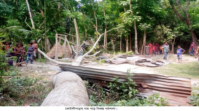 কোটালিপাড়ায় গাছ পড়ে পাঠশালা বিধ্বস্ত, আহত ২০