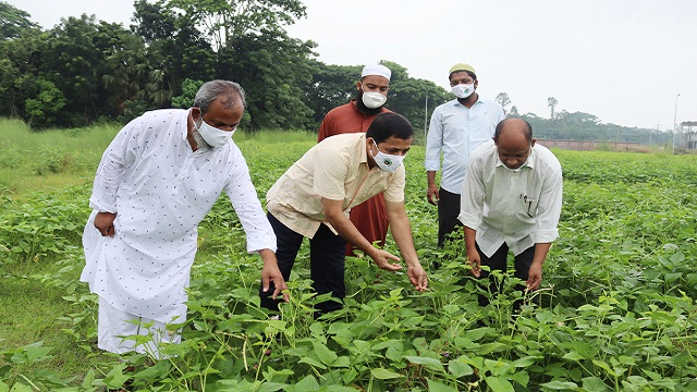 গ্রীষ্মকালে ফেলন ডাল চাষে বাপার্ডের সফলতা অর্জন