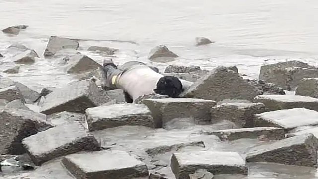 সাতক্ষীরার হাড়দ্দাহ এলাকা থেকে এক যুবকের মরদেহ উদ্ধার