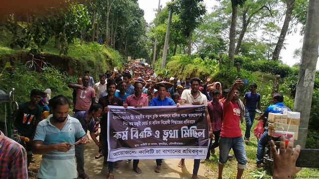 চা-বাগান মালিকদের সঙ্গে প্রধানমন্ত্রীর বৈঠক 