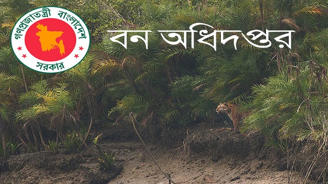 বন অধিদপ্তরে ১৫তম গ্রেডে চাকরির সুযোগ