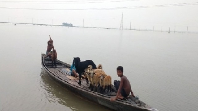 যমুনার পানি বৃদ্ধি অব্যাহত, চরাঞ্চলের নিচু এলাকা প্লাবিত