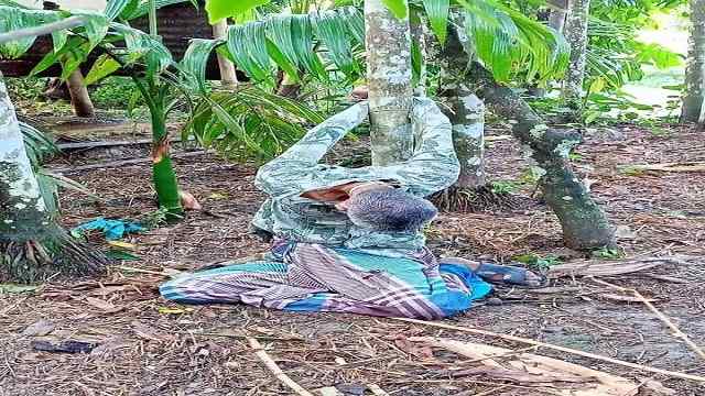 লক্ষ্মীপুরে গাছের সাথে হাত-পা বাধা অবস্থায় বৃদ্বার লাশ উদ্ধার