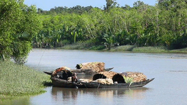 কাঁকড়া আহরণে গিয়ে বাঘের আক্রমণে নিহত ২ জেলে