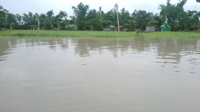 তিস্তার পানি বিপদসীমার ১০ সেন্টিমিটার উপরে