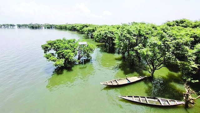 বিশ্ব জলাভূমি দিবস আজ