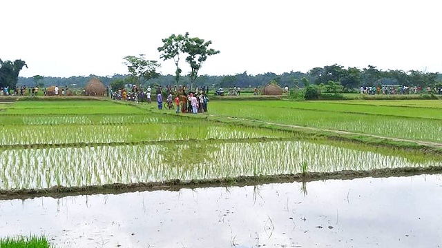 বিএসএফের গুলিতে দুই বাংলাদেশি নিহত