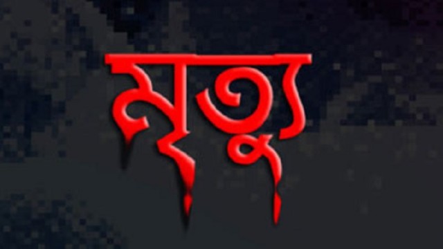 মধুখালীতে বিদ্যুৎস্পৃষ্টে রিকশাচালকের মৃত্যু