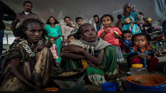 ইথিওপিয়া সরকারের একতরফা যুদ্ধবিরতি ঘোষণা