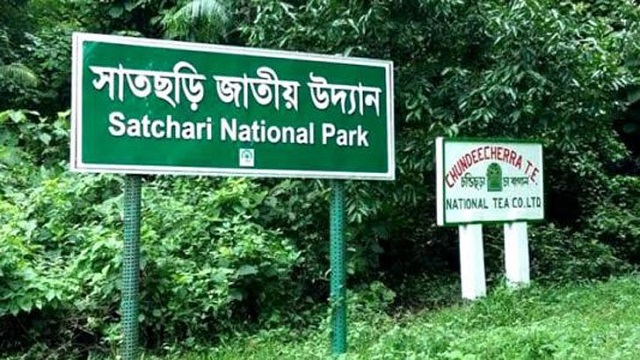 সাতছড়ি থেতে ১৫ মর্টারশেল ধ্বংস