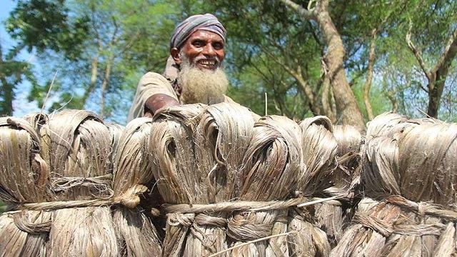 জাতীয় পাট দিবস আজ