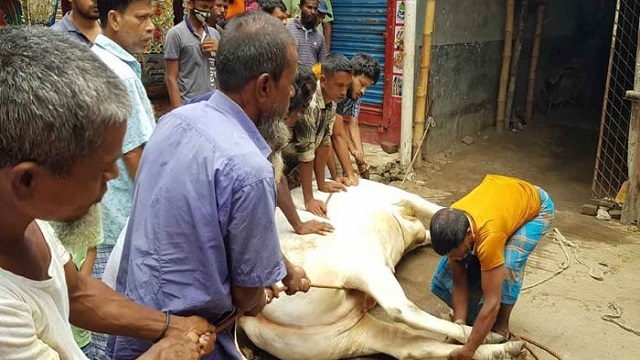 ঈদের দ্বিতীয় দিনও চলছে পশু কোরবানি