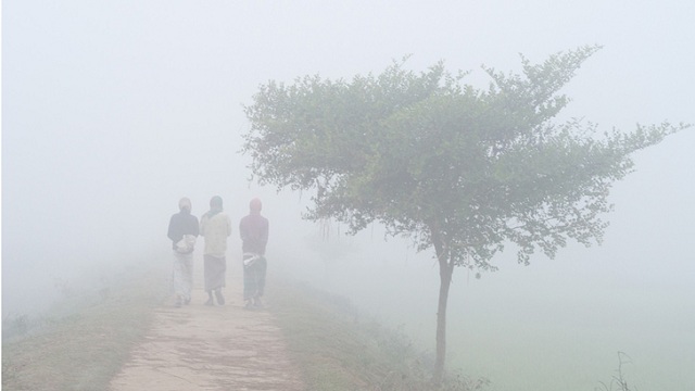 সংগৃহীত