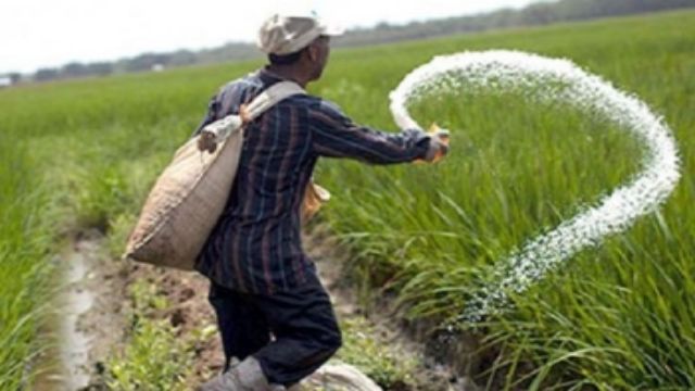 ইউরিয়ার দাম কেজিতে ৬ টাকা বাড়ল